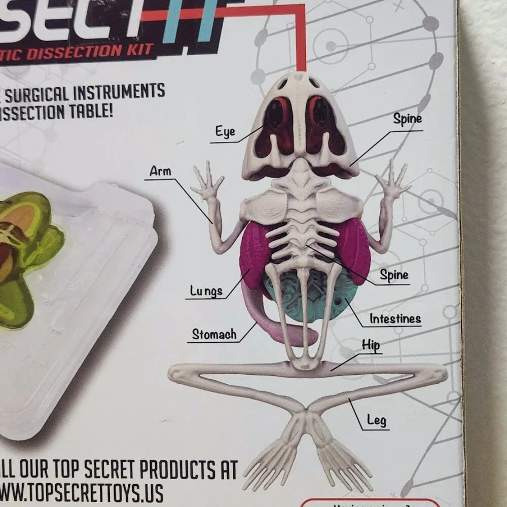 NEW Dissect-it Synthetic Lab Dissection Toy STEM KIT CRAFT Project Frog Biology